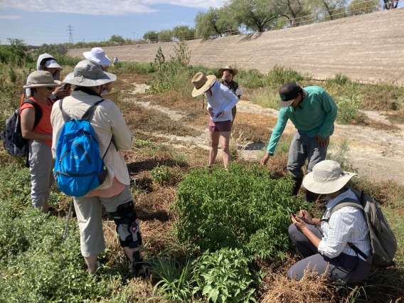 A group of people studying the plants near the Santa Cruz River