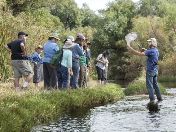 People near Santa Cruz River watching a person with a net for catching flying insects standing in the river