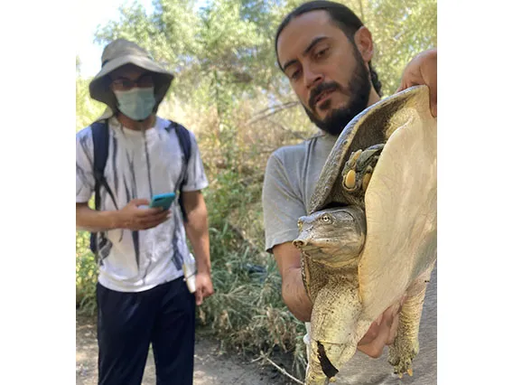 Person holding a turtle