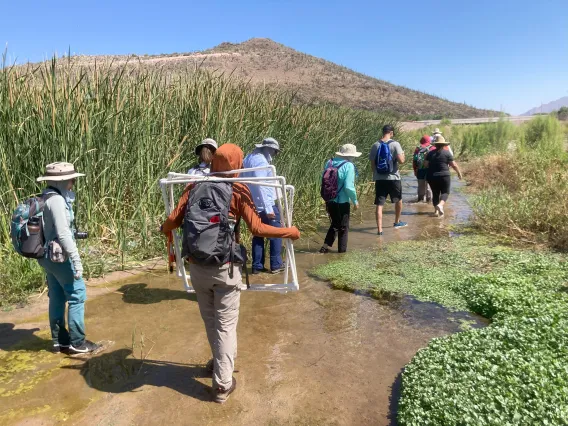 People walking in a river