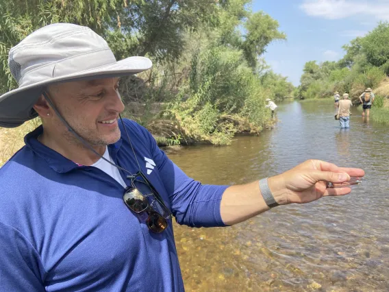 Person holding dragonfly in their fingers