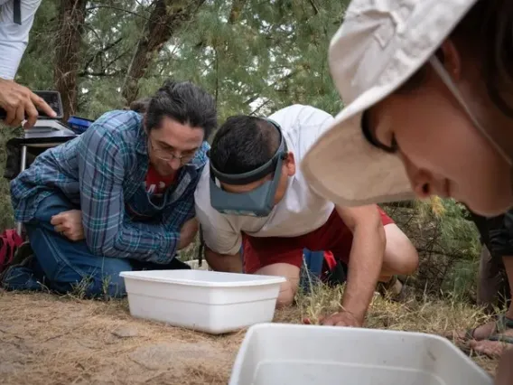 Person looking into small plastic basin