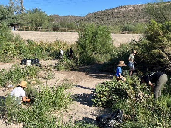 Volunteers collecting trash in the Santa Cruz River channel in Tucson