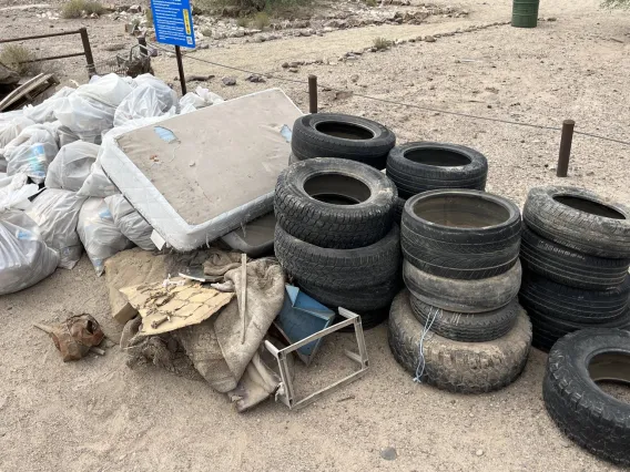 Image of large trash pile and tires collected in the Santa Cruz River