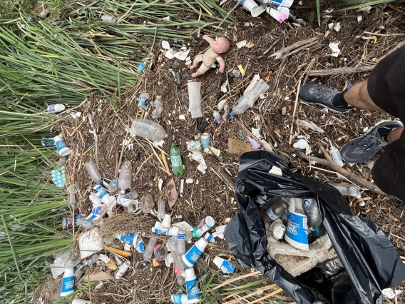trash in grasses on edge of Santa Cruz River in Tucson