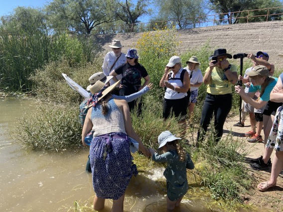 Group of people standing on the edge of the Santa Cruz River looking at a person holding a dragonfly.
