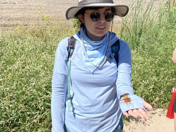 A person holding a Flame Skimmer dragonfly