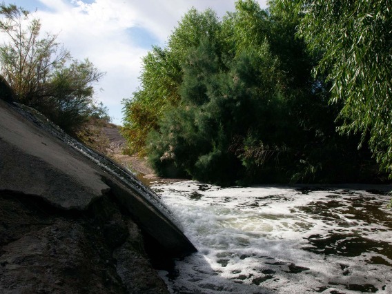 Effluent gushes out of the outfall into the Santa Cruz River. 