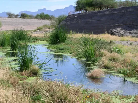 Santa Cruz river flowing in channel in Tucson