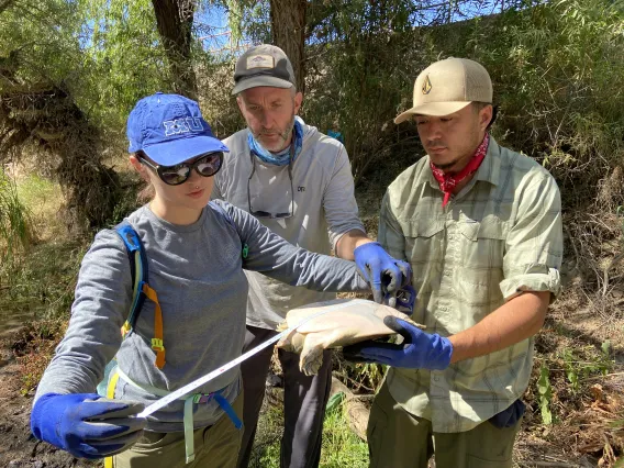 Teachers measuring turtle size by the Santa Cruz River