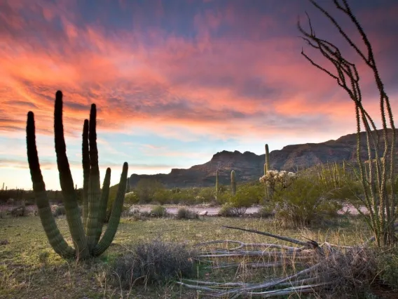 Image of sunset with cactus in foreground and mountains in background