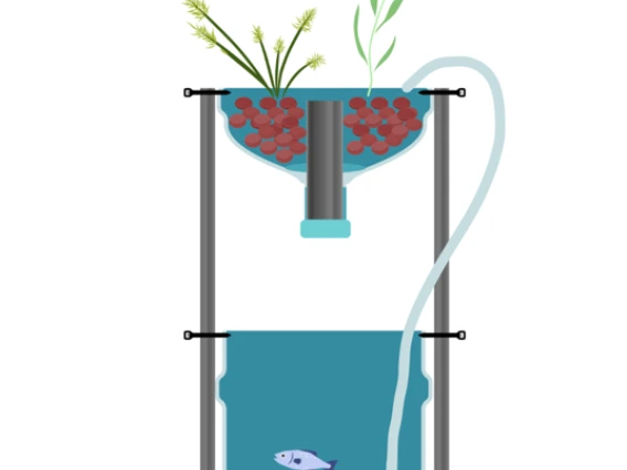 Diagram of aquaponic riparian ecosystem setup