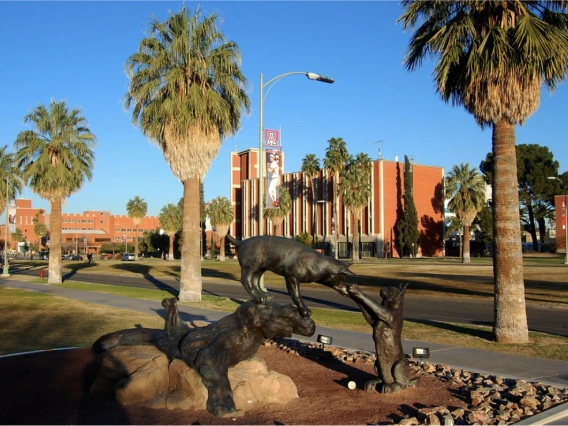 University of Arizona Sunset Picture