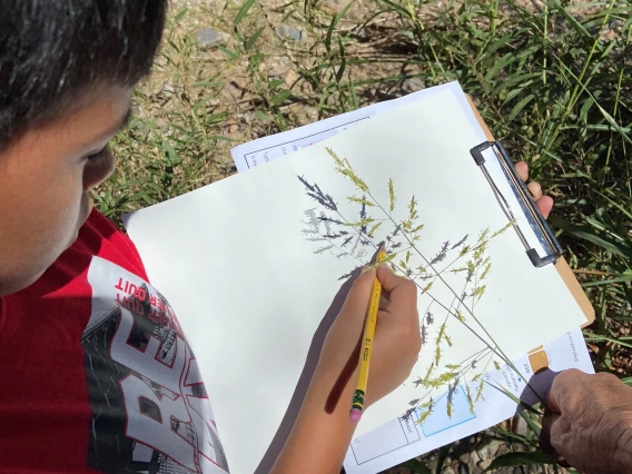 Student drawing shadows of a plant on the Santa Cruz River