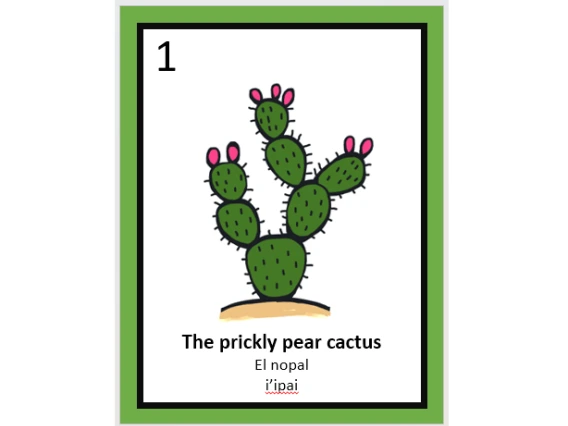 Loteria card with drawing of prickly pear 