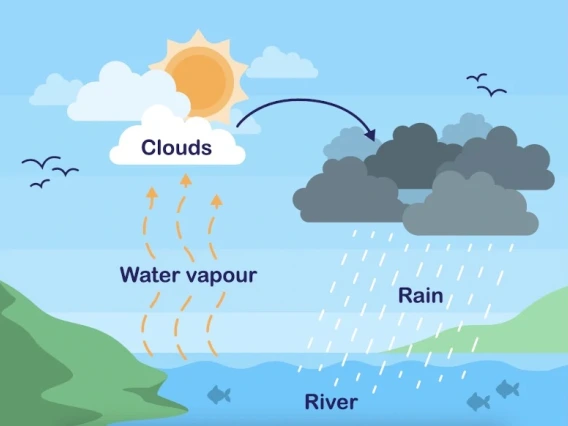 Water Cycle