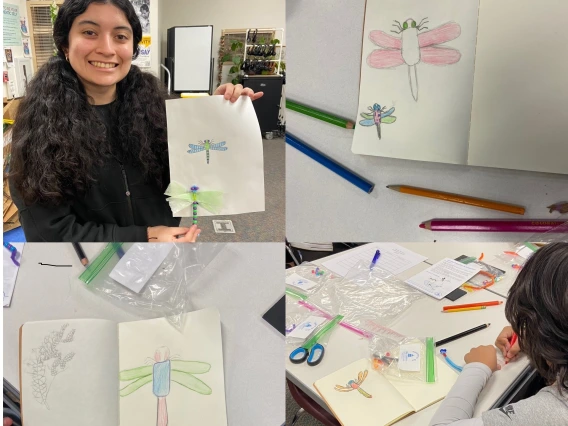 A grid of four photos showing student drawn dragonflies 