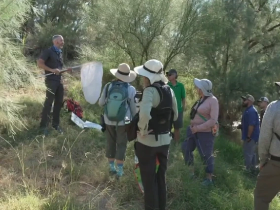 People standing by the Santa Cruz River on Dragonfly Tour