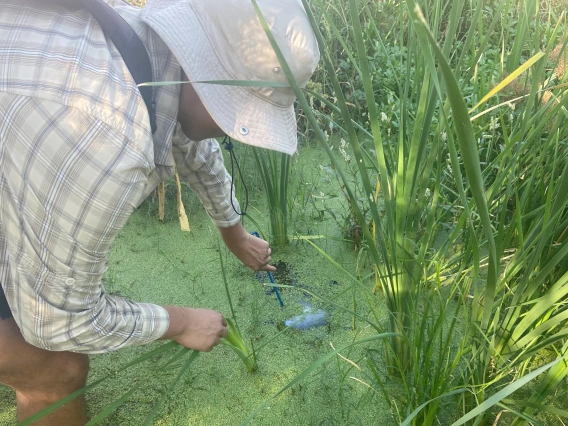 Teacher collecting an aquatic macroinvertebrate sample in the Santa Cruz River 