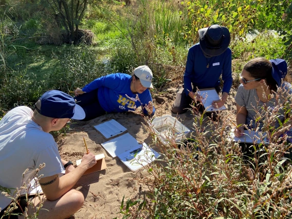 Teachers discussing and lookin in a bin with aquatic macroinvertebrate samples