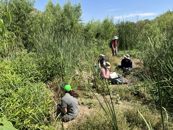 Group of teachers sketching at the Santa Cruz River