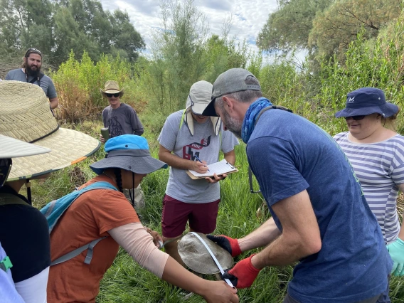 Group of teachers and a professor measuring turtles