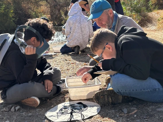 Students studying bin with aquatic macroinvertebrates from the Santa Cruz River