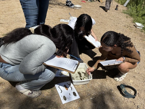 Students looking at macroinvertebrates at the Santa Cruz River