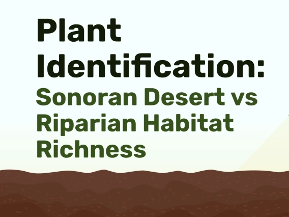 Plant ID Title Slide