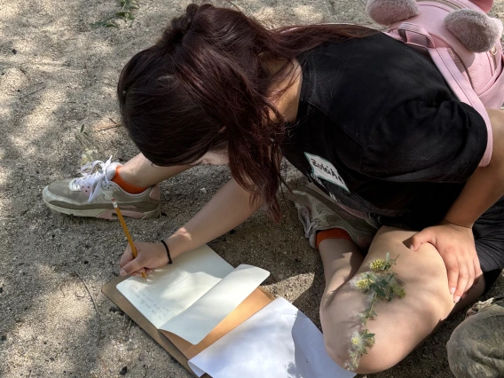 Student drawing Goodding's willow seeds in journal