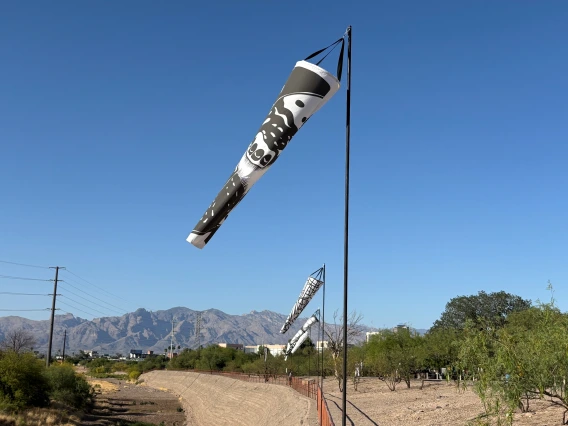 Windsocks at the Santa Cruz River as part of Landing Place