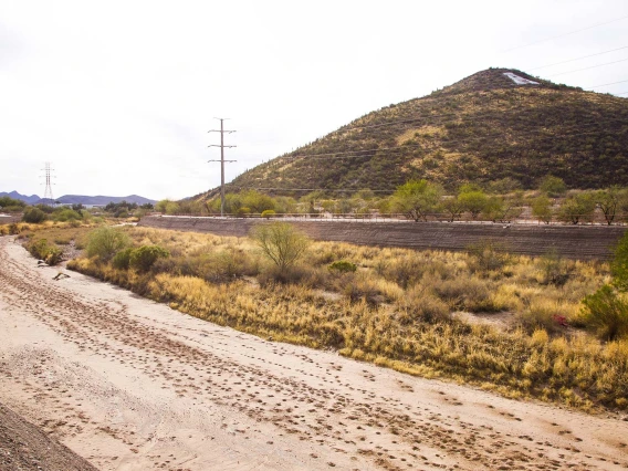 dry Santa Cruz River patch