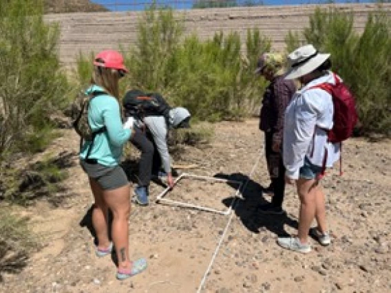 Teachers gathering plant data using quadrats in the Santa Cruz River