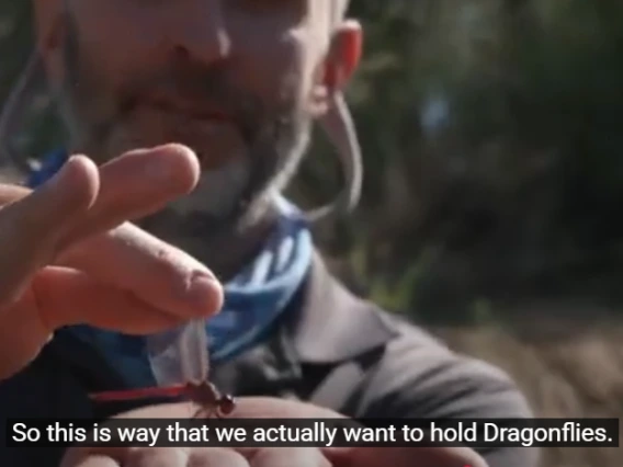 Michael Bogan showing how to hold a dragonfly near the Santa Cruz River