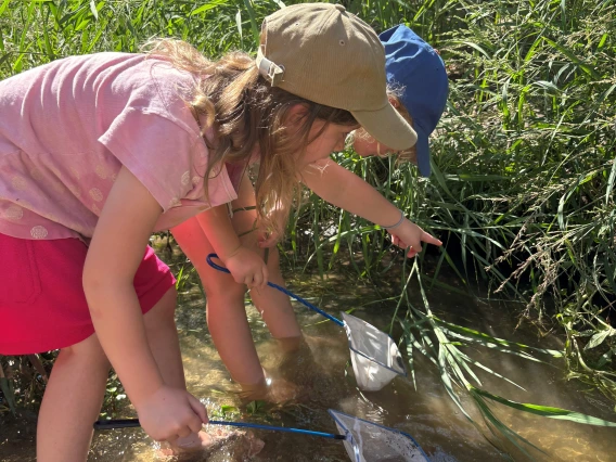 Two children holding small nets in the Santa Cruz River looking for fish