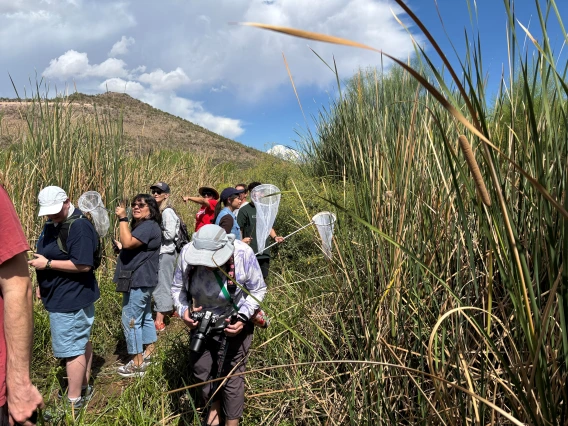 Dragonfly tour at Hertiage Project downtown Tucson