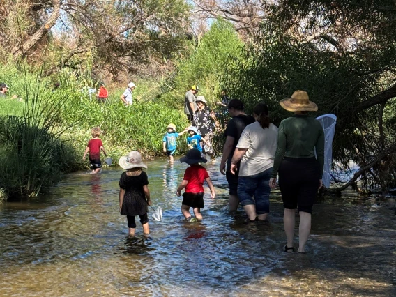 Adults and children walking in the Santa Cruz River