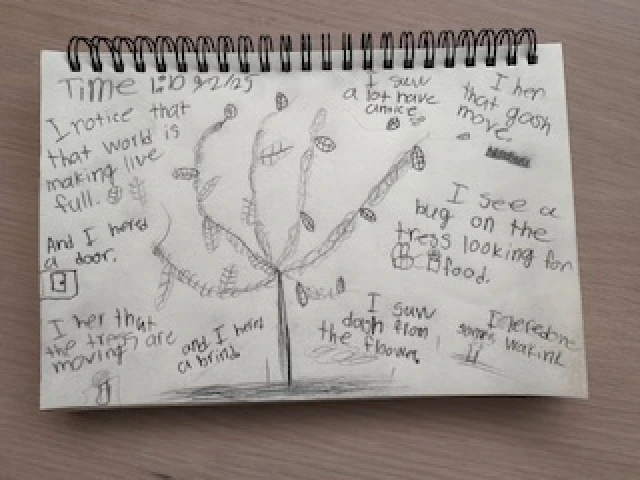 Journal page of a tree drawn in pencil with words and questions around it