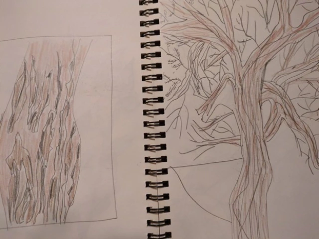Pencil drawings in sketchbook of tree and close up of tree bark
