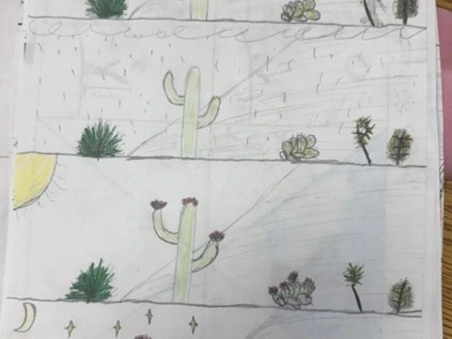 Colored pencil drawing of a scene with a saguaro during different seasons