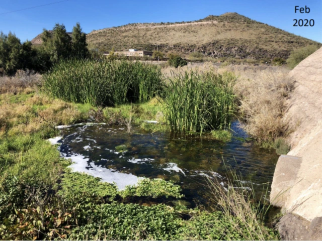 Santa Cruz River image from 2020