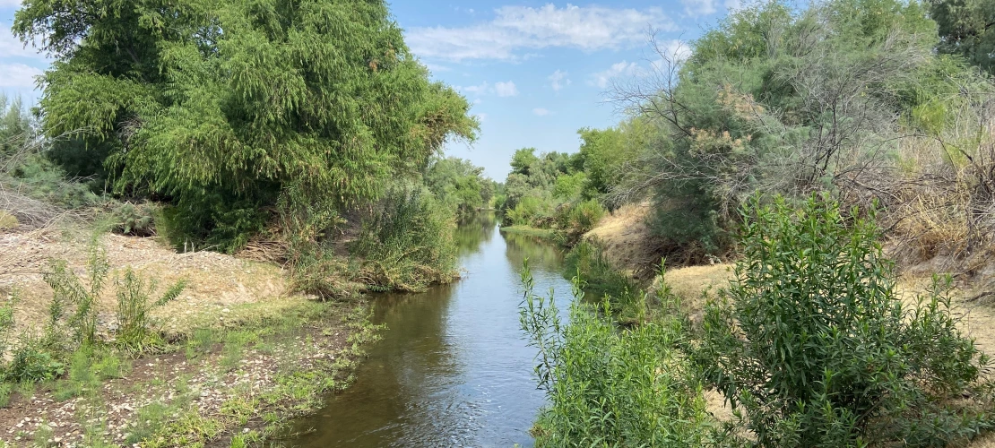 Santa Cruz River in Marana