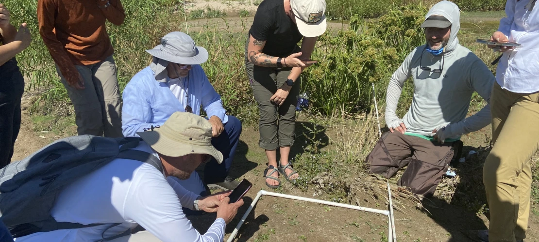 Researchers gathering plant data in transect square