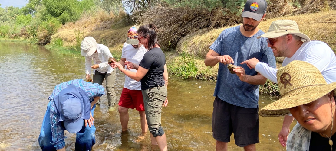 People standing in a river looking at rocks