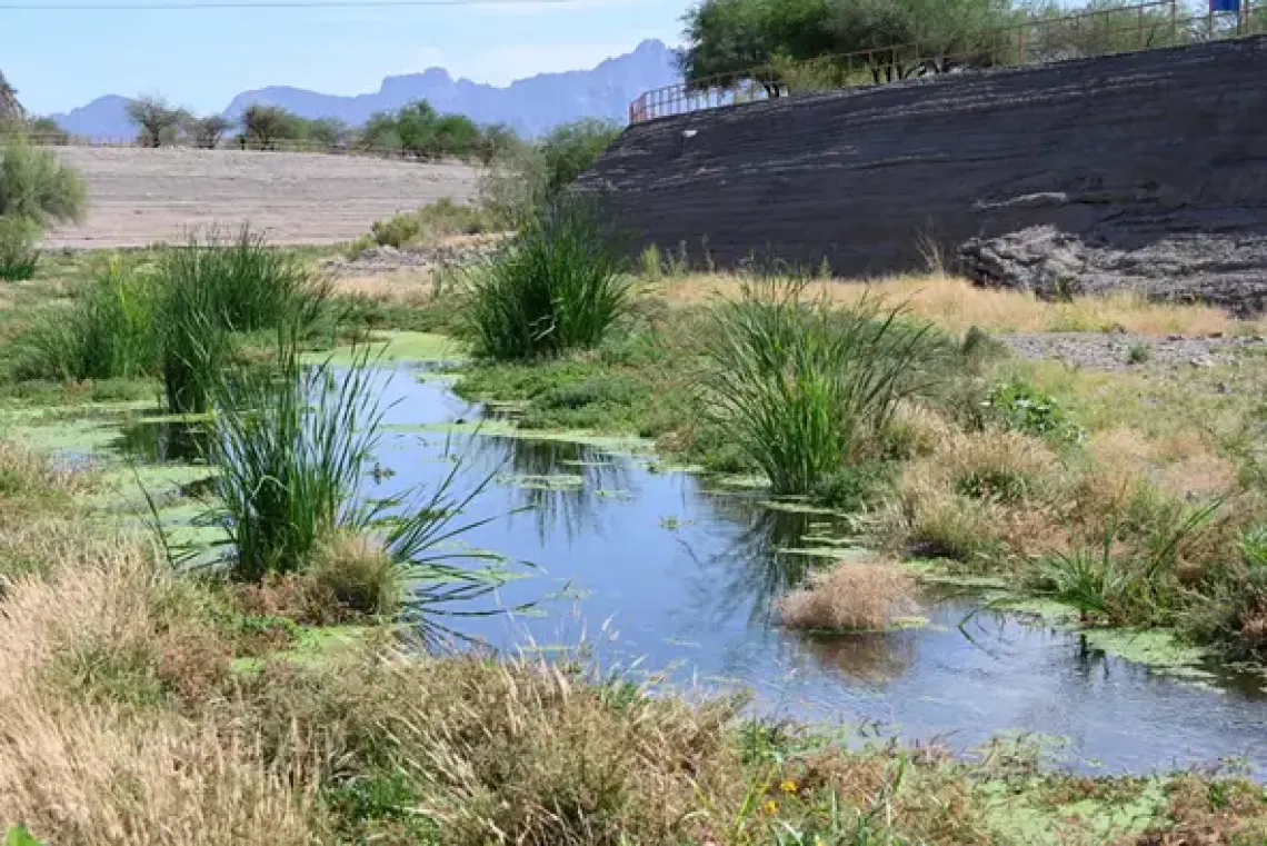 View of Santa Cruz River near bike path with water and grasses