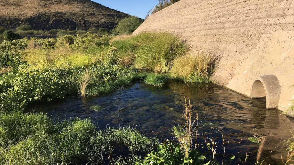 Shallow water flowing with green grasses and a earthen structure