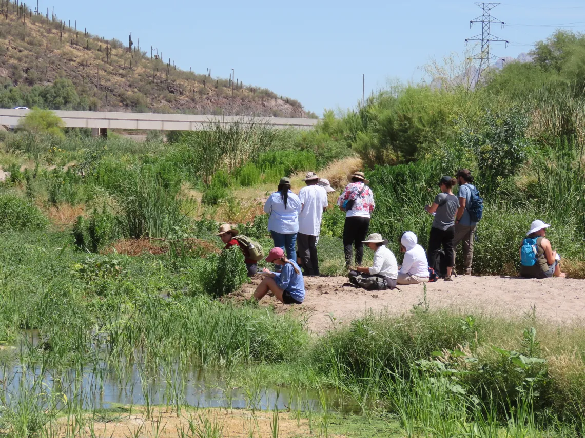 People sitting and standing on edge of water 