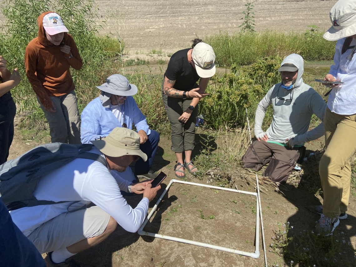 Researchers gathering plant data in transect square