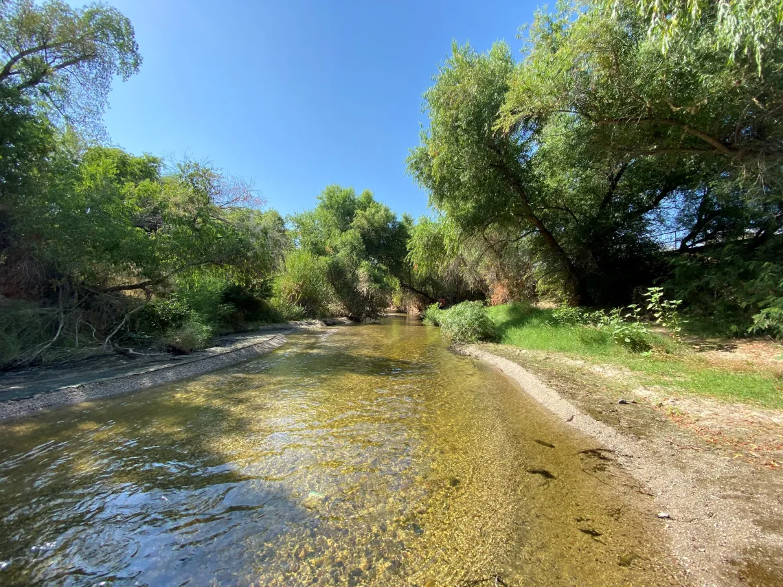 Santa Cruz River in Marana AZ