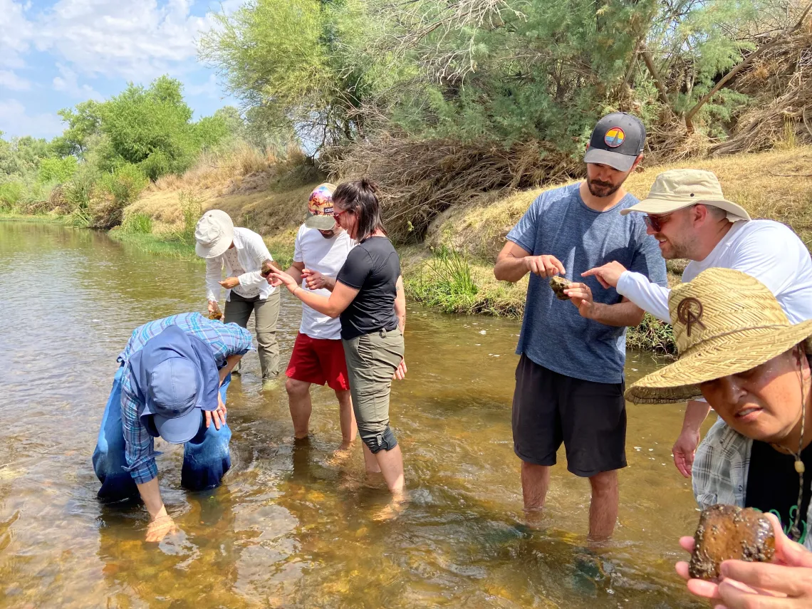 People standing in a river looking at rocks